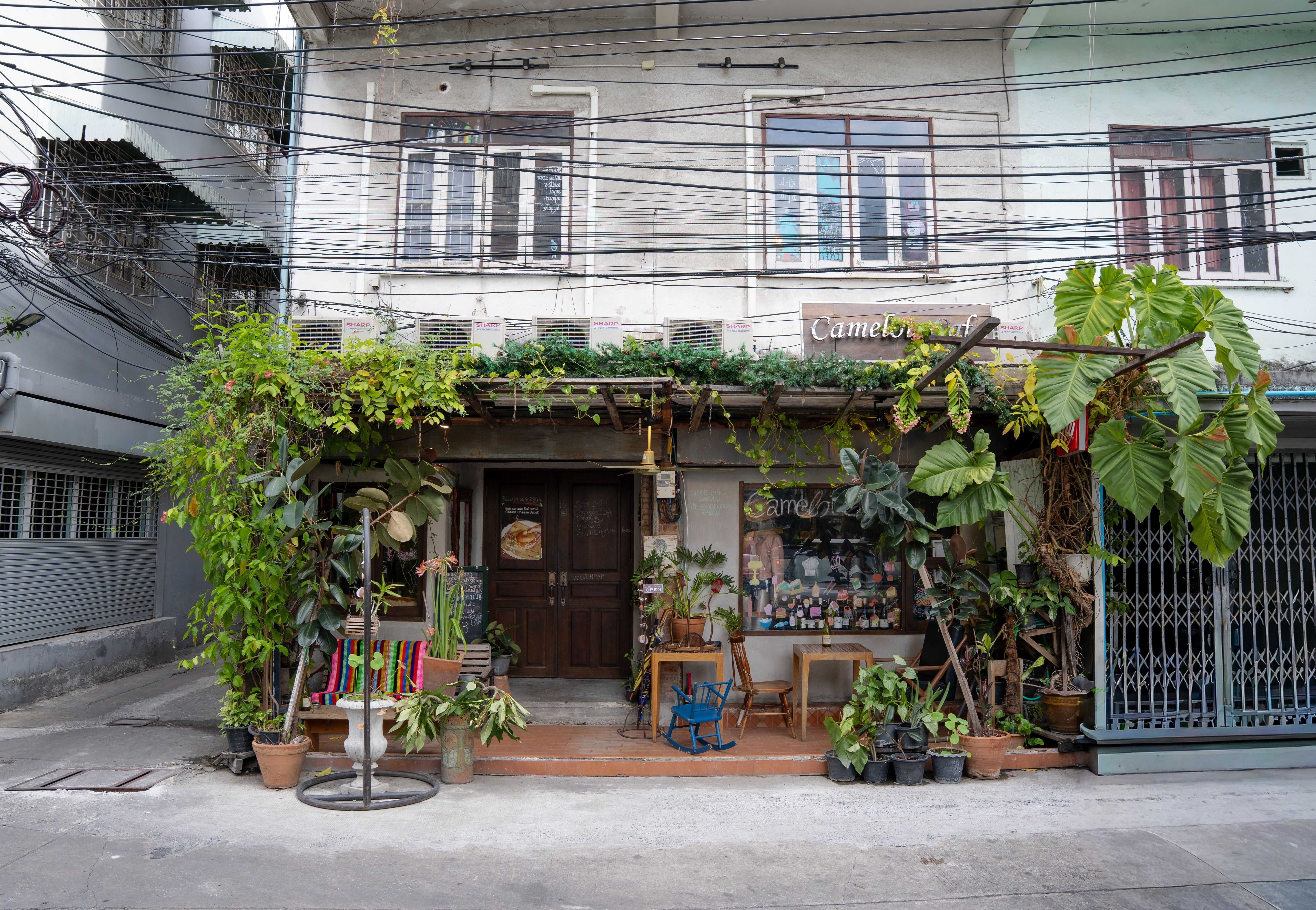 Camelot Café Bangkok exterior on Charoen Krung 45 with lush trailing plants and vintage wooden door
