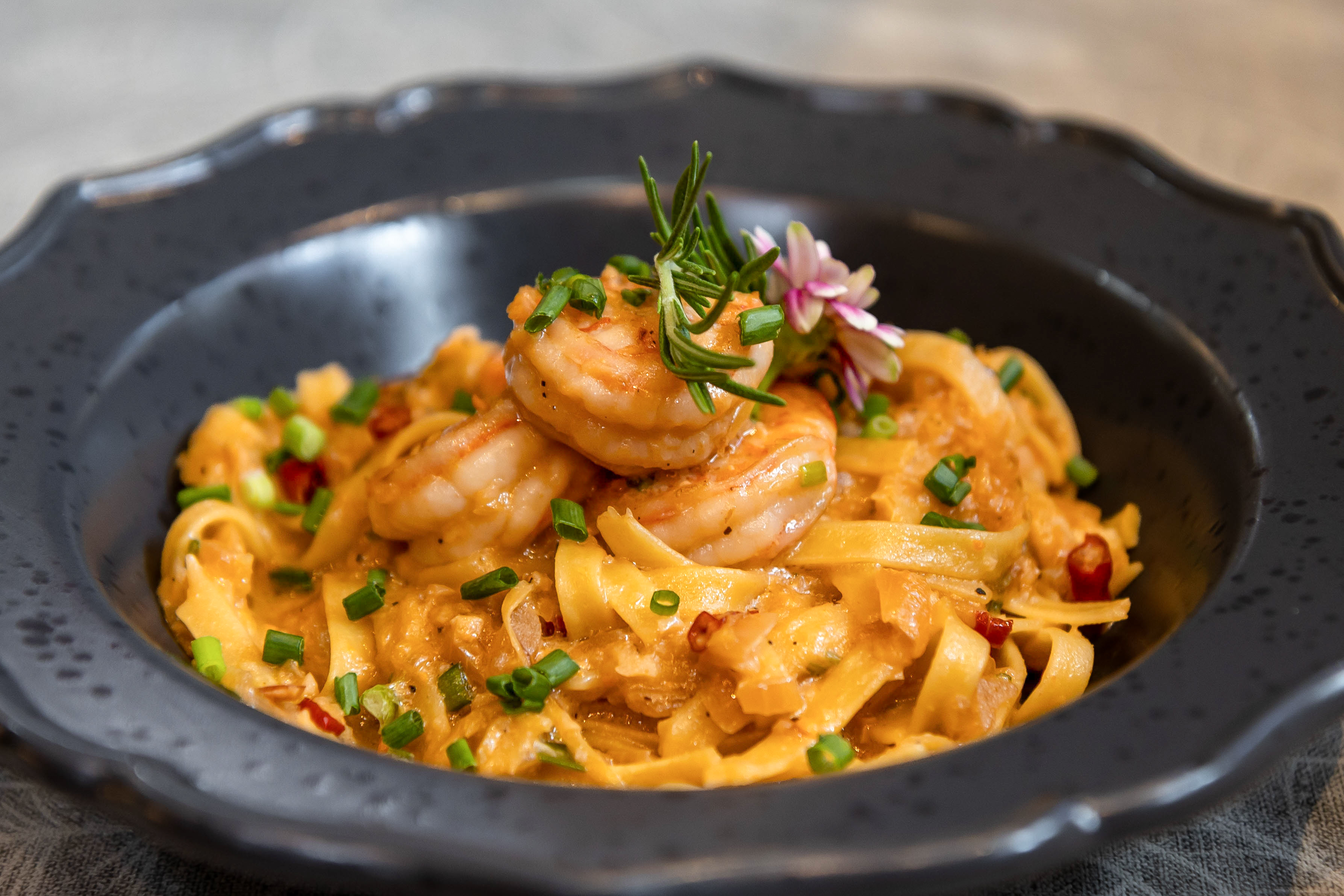 kanin the rabbit shrimp fettuccine pasta creamy sauce